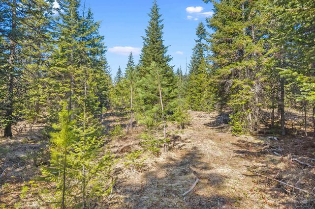 555 Happy Trails Ln, Newport, WA 99146