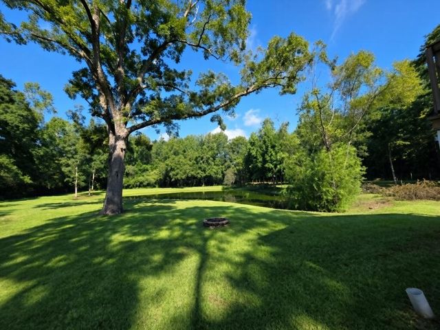 1424 Midland Michigan Avenue, Midland City, AL 36350