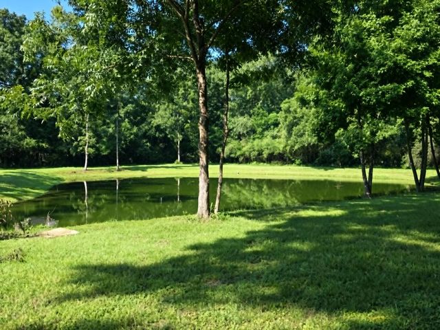 1424 Midland Michigan Avenue, Midland City, AL 36350