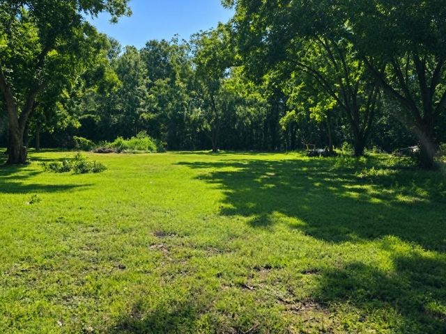 1424 Midland Michigan Avenue, Midland City, AL 36350