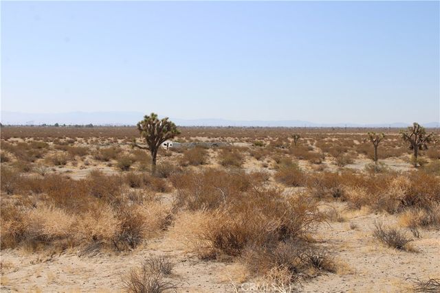 AC Lessing Avenue, Adelanto, CA 92301