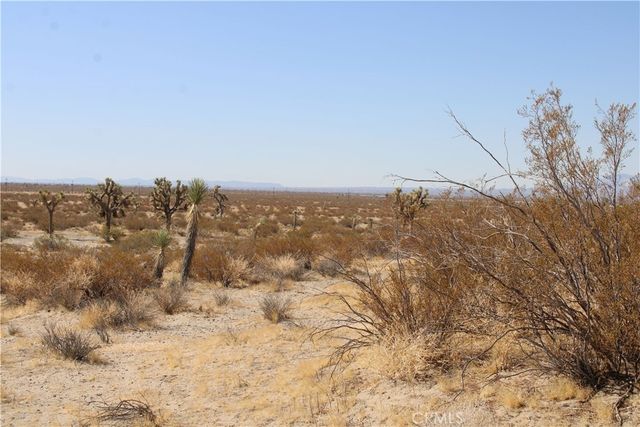AC Lessing Avenue, Adelanto, CA 92301