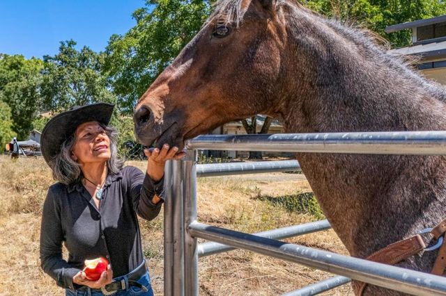 23785 Mckean Road, San Jose, CA 95141