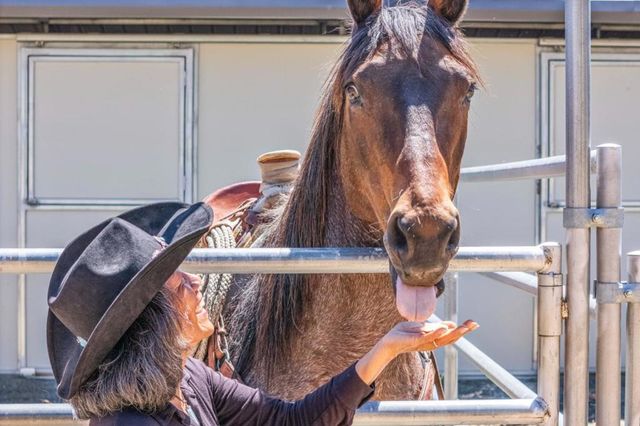 23785 Mckean Road, San Jose, CA 95141