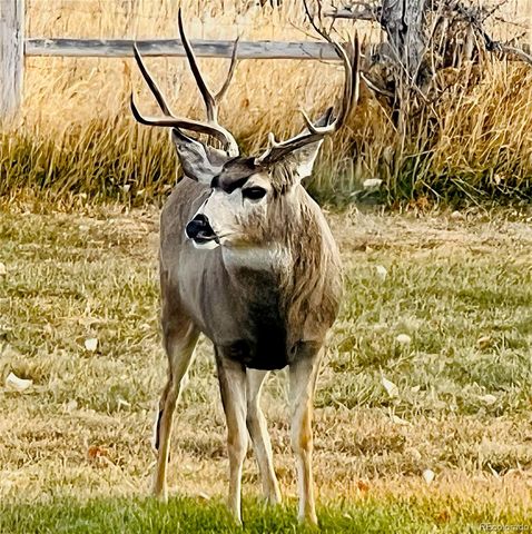 6835 Surrey Trail, Littleton, CO 80125