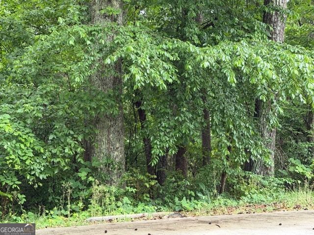 0 Johnson Road, Palmetto, GA 30268