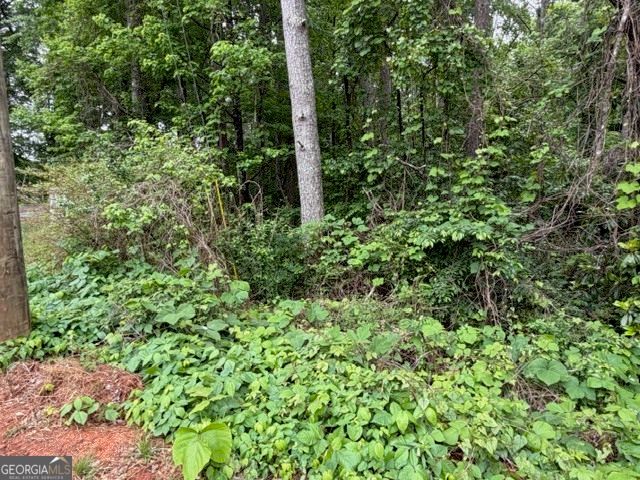 0 Johnson Road, Palmetto, GA 30268