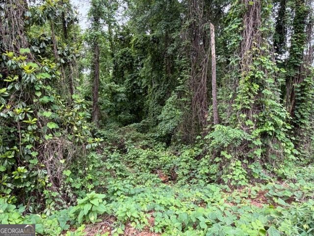 0 Johnson Road, Palmetto, GA 30268