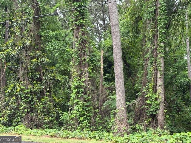 0 Johnson Road, Palmetto, GA 30268