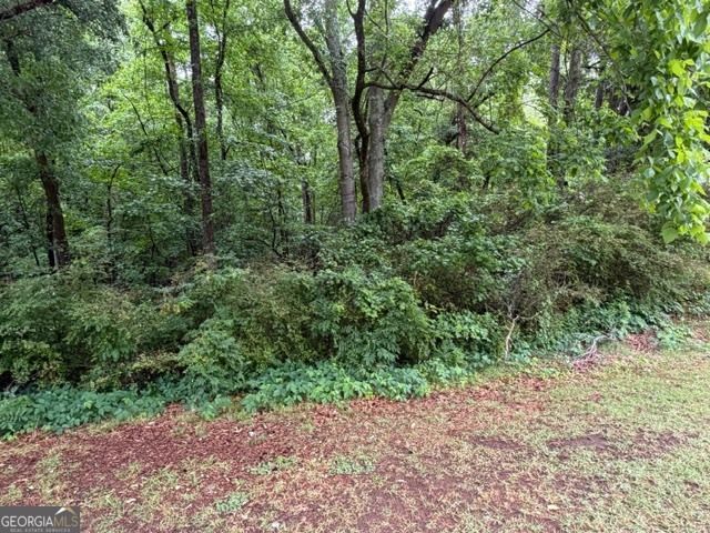 0 Johnson Road, Palmetto, GA 30268
