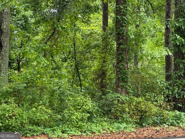 0 Johnson Road, Palmetto, GA 30268