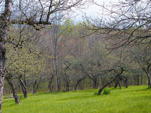 10 Hedgehog Hill, Underhill, VT 05489