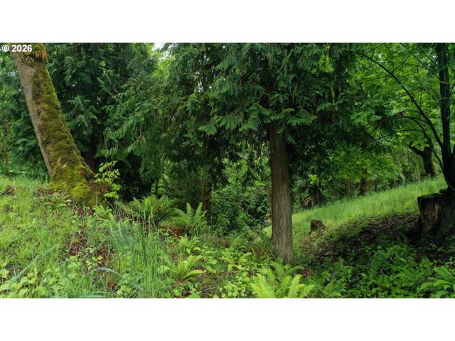 60300 RAYS Way, St Helens, OR 97051