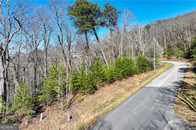 LOT 24 Long Mountain Trail, Cleveland, GA 30528