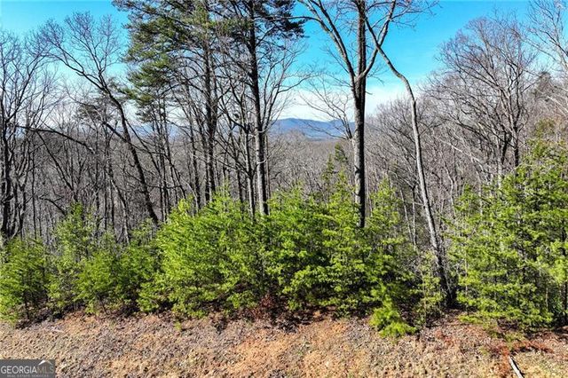LOT 24 Long Mountain Trail, Cleveland, GA 30528