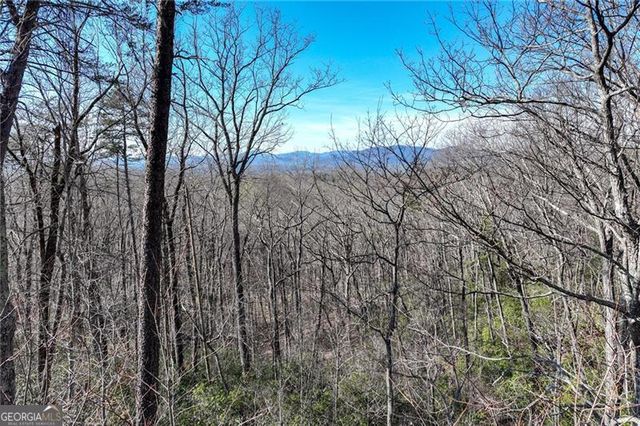 LOT 24 Long Mountain Trail, Cleveland, GA 30528