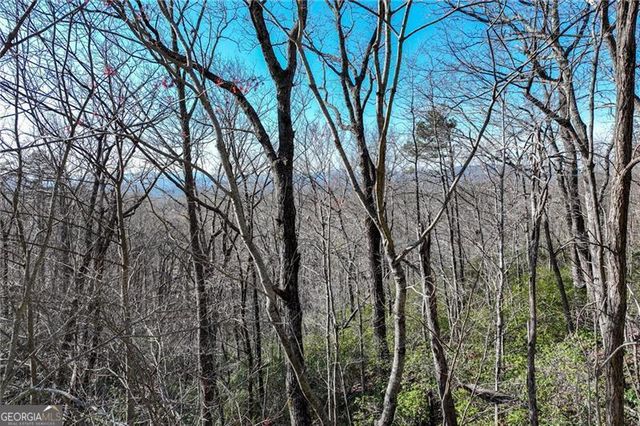 LOT 24 Long Mountain Trail, Cleveland, GA 30528