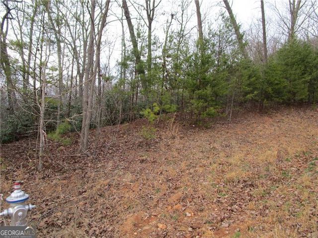 LOT 24 Long Mountain Trail, Cleveland, GA 30528