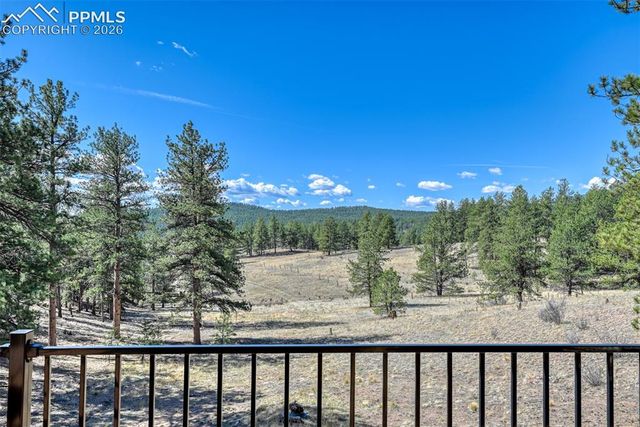 37081 County Road 77, Lake George, CO 80827