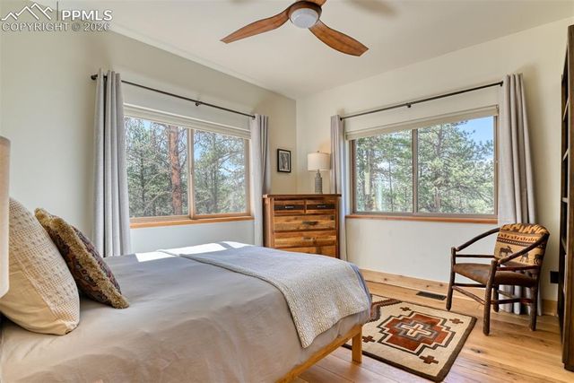 37081 County Road 77, Lake George, CO 80827