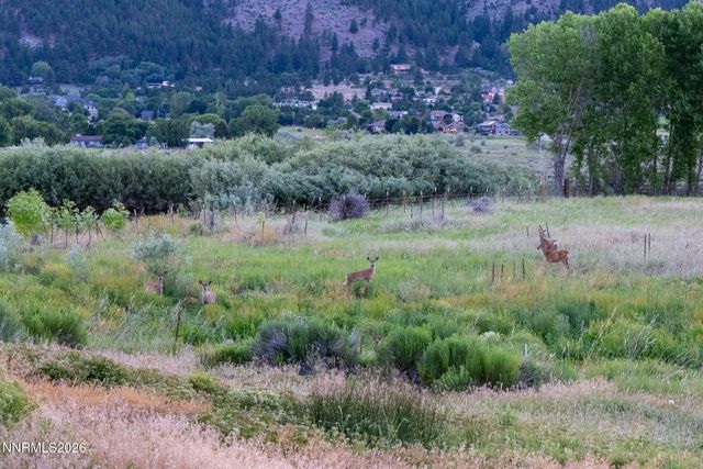 380 Genoa Lane, Minden, NV 89423