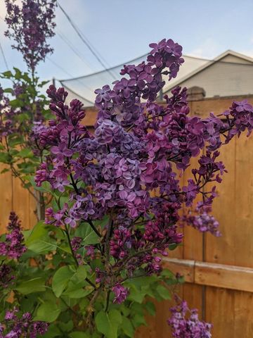 3616 S 90th STREET, Milwaukee, WI 53228