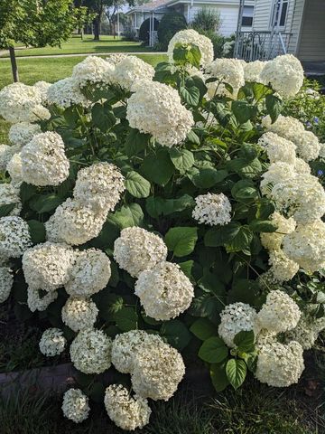 3616 S 90th STREET, Milwaukee, WI 53228