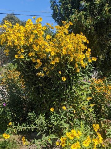 3616 S 90th STREET, Milwaukee, WI 53228