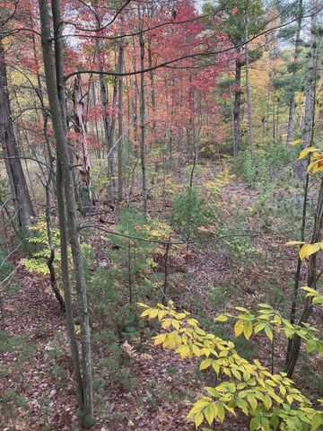 20047 Davis Lake Road, Almira Twp, MI 49684