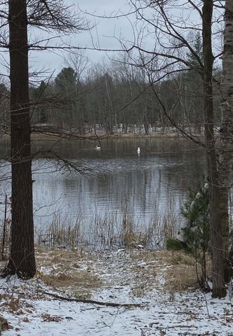 20047 Davis Lake Road, Almira Twp, MI 49684