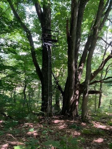 20047 Davis Lake Road, Almira Twp, MI 49684