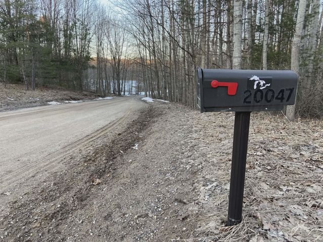 20047 Davis Lake Road, Almira Twp, MI 49684