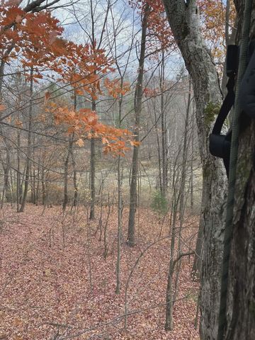 20047 Davis Lake Road, Almira Twp, MI 49684