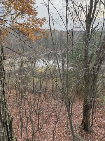 20047 Davis Lake Road, Almira Twp, MI 49684