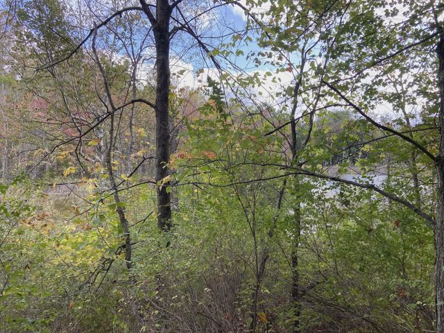 20047 Davis Lake Road, Almira Twp, MI 49684