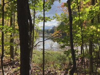 20047 Davis Lake Road, Almira Twp, MI 49684