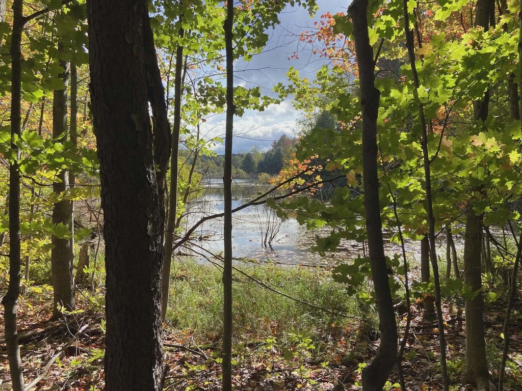 20047 Davis Lake Road, Almira Twp, MI 49684