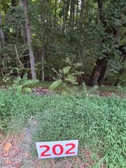 202 Ox Bow Ave, Unicoi, TN 37692