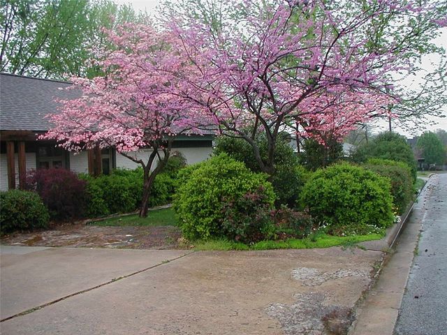 2369 N Yorkwood Drive, Fayetteville, AR 72703