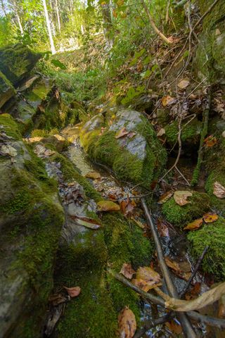 5600 Mount Tabor RD, Catawba, VA 24070