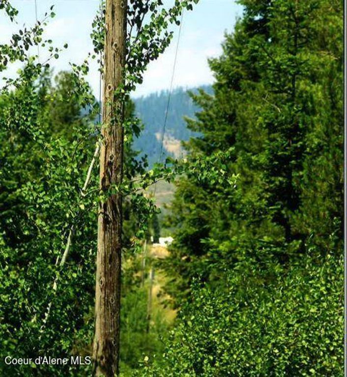 NKA TAMARACK RIDGE RD 1.35 ACRES, Cataldo, ID 83810 photo 4