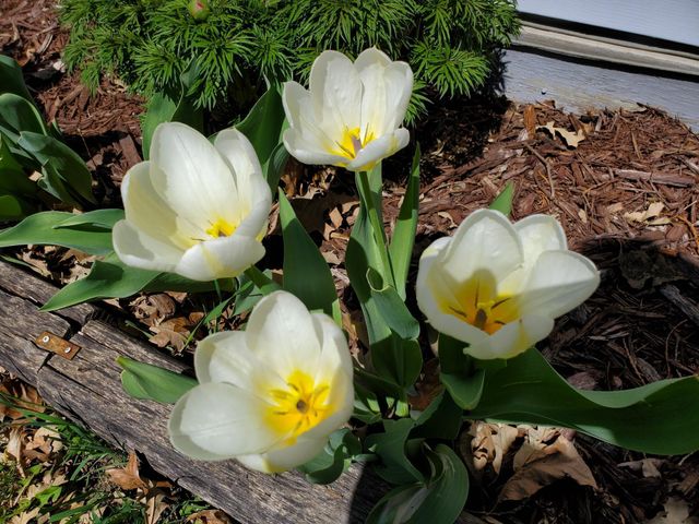 517 Springen Avenue, Fergus Falls, MN 56537