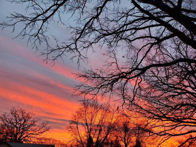 517 Springen Avenue, Fergus Falls, MN 56537