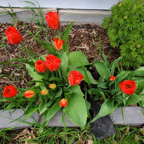 517 Springen Avenue, Fergus Falls, MN 56537