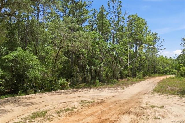 5267 N LACE POINT, Dunnellon, FL 34433