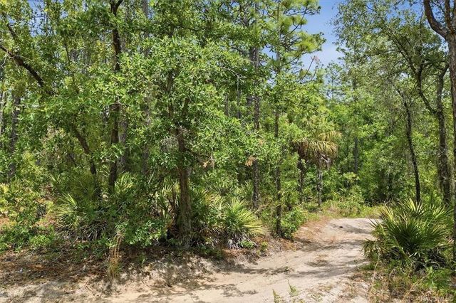 5267 N LACE POINT, Dunnellon, FL 34433