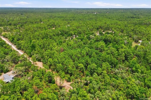 5267 N LACE POINT, Dunnellon, FL 34433