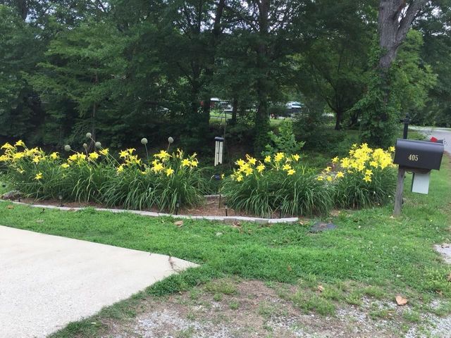 405 CREEKSIDE DR, Cherokee, AL 35616