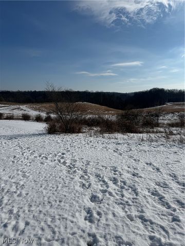 11973 Virtue Road, Kimbolton, OH 43716