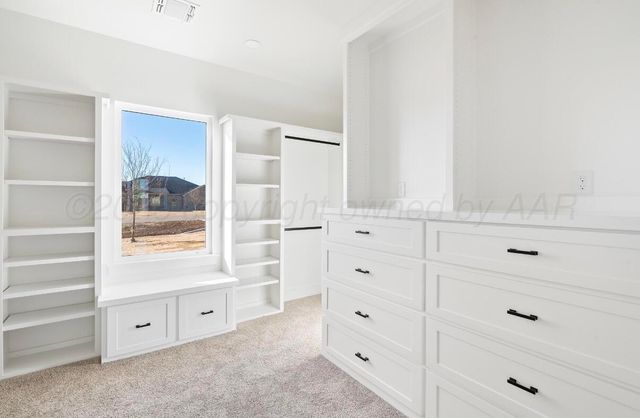 10148 COCKLEBUR Lane, Amarillo, TX 79119